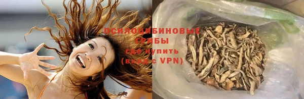 соль ск Инта