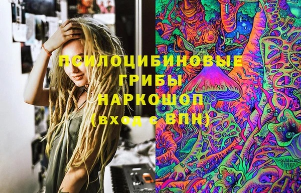 соль ск Инта