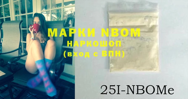 МДПВ Инсар