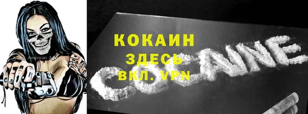 МДПВ Инсар