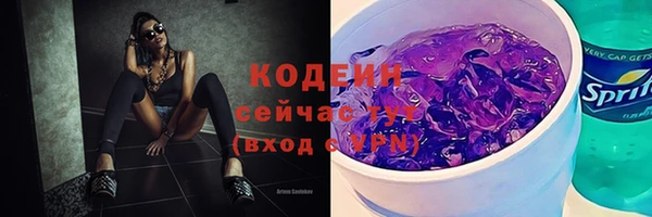 МДПВ Инсар