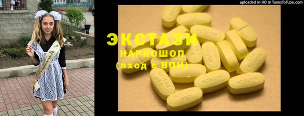 МДПВ Инсар