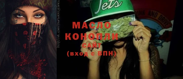 МДПВ Инсар