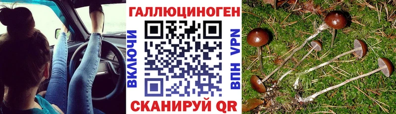 Галлюциногенные грибы GOLDEN TEACHER  закладки  Пласт 